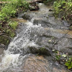Photo #31 of TBD STRIBLING SPRINGS RD, MOUNT SOLON, VA 33.0 acres