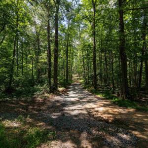 Photo #8 of TBD STRIBLING SPRINGS RD, MOUNT SOLON, VA 33.0 acres