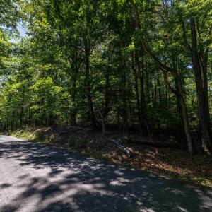 Photo #6 of TBD STRIBLING SPRINGS RD, MOUNT SOLON, VA 33.0 acres