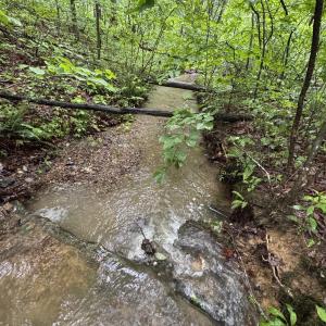 Photo #26 of TBD STRIBLING SPRINGS RD, MOUNT SOLON, VA 33.0 acres