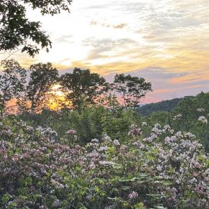 Photo #21 of TBD STRIBLING SPRINGS RD, MOUNT SOLON, VA 33.0 acres