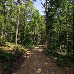 Photo #9 of TBD STRIBLING SPRINGS RD, MOUNT SOLON, VA 33.0 acres