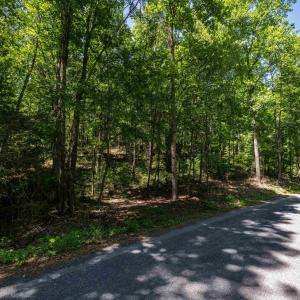 Photo #7 of TBD STRIBLING SPRINGS RD, MOUNT SOLON, VA 33.0 acres