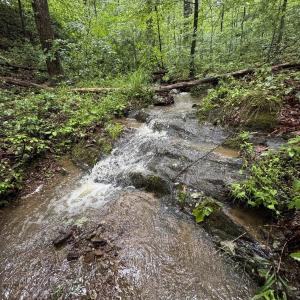 Photo #25 of TBD STRIBLING SPRINGS RD, MOUNT SOLON, VA 33.0 acres