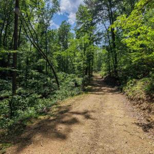 Photo #38 of TBD STRIBLING SPRINGS RD, MOUNT SOLON, VA 33.0 acres