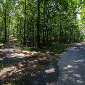 Photo #5 of TBD STRIBLING SPRINGS RD, MOUNT SOLON, VA 33.0 acres