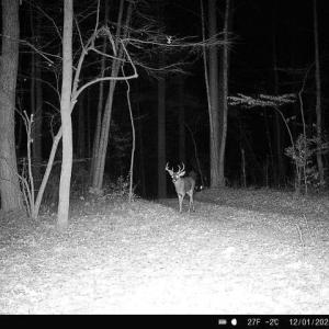 Photo #35 of TBD STRIBLING SPRINGS RD, MOUNT SOLON, VA 33.0 acres