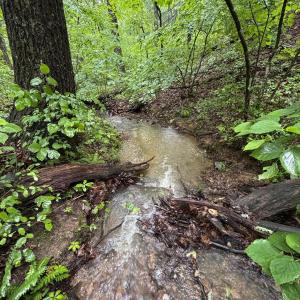 Photo #28 of TBD STRIBLING SPRINGS RD, MOUNT SOLON, VA 33.0 acres