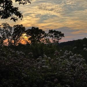 Photo #22 of TBD STRIBLING SPRINGS RD, MOUNT SOLON, VA 33.0 acres