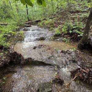 Photo #29 of TBD STRIBLING SPRINGS RD, MOUNT SOLON, VA 33.0 acres