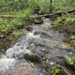 Photo #30 of TBD STRIBLING SPRINGS RD, MOUNT SOLON, VA 33.0 acres