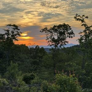 Photo #20 of TBD STRIBLING SPRINGS RD, MOUNT SOLON, VA 33.0 acres