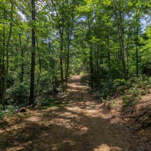 Photo #11 of TBD STRIBLING SPRINGS RD, MOUNT SOLON, VA 33.0 acres