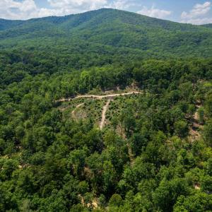 Photo #14 of TBD STRIBLING SPRINGS RD, MOUNT SOLON, VA 33.0 acres