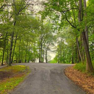 Photo #1 of Lot 22 MOUNTAIN LAUREL RDG, CHARLOTTESVILLE, VA 6.6 acres