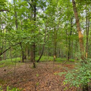 Photo #8 of Lot 22 MOUNTAIN LAUREL RDG, CHARLOTTESVILLE, VA 6.6 acres