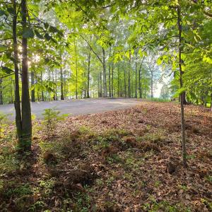 Photo #7 of Lot 22 MOUNTAIN LAUREL RDG, CHARLOTTESVILLE, VA 6.6 acres