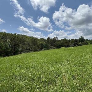 Photo #10 of TBD FISHPOND RD, HOWARDSVILLE, VA 6.4 acres