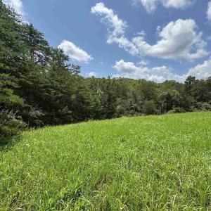 Photo #11 of TBD FISHPOND RD, HOWARDSVILLE, VA 6.4 acres