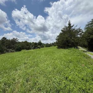 Photo #9 of TBD FISHPOND RD, HOWARDSVILLE, VA 6.4 acres