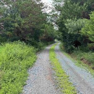 Photo #3 of TBD FISHPOND RD, HOWARDSVILLE, VA 6.4 acres