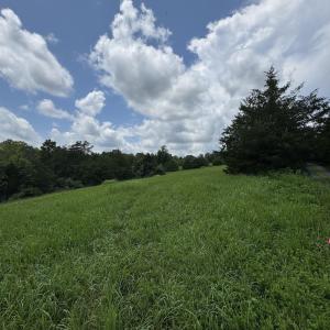 Photo #7 of TBD FISHPOND RD, HOWARDSVILLE, VA 6.4 acres