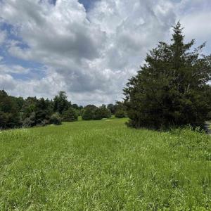 Photo #8 of TBD FISHPOND RD, HOWARDSVILLE, VA 6.4 acres