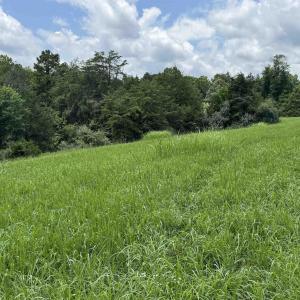 Photo #2 of TBD FISHPOND RD, HOWARDSVILLE, VA 6.4 acres