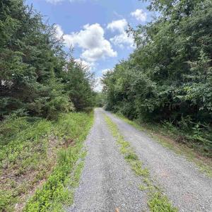 Photo #5 of TBD FISHPOND RD, HOWARDSVILLE, VA 6.4 acres