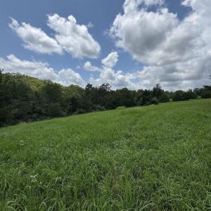 Photo #6 of TBD FISHPOND RD, HOWARDSVILLE, VA 6.4 acres