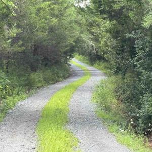 Photo #4 of TBD FISHPOND RD, HOWARDSVILLE, VA 6.4 acres