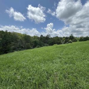 Photo #1 of TBD FISHPOND RD, HOWARDSVILLE, VA 6.4 acres