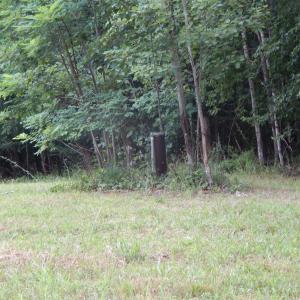 Photo #2 of 346 COBBLESTONE LN, SHENANDOAH, VA 5.4 acres