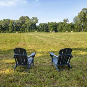 Photo #17 of 76.99 acres COLES ROLLING RD, SCOTTSVILLE, VA 77.0 acres