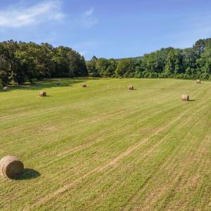 Photo #13 of 76.99 acres COLES ROLLING RD, SCOTTSVILLE, VA 77.0 acres