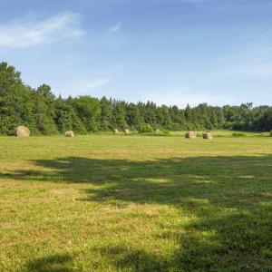 Photo #30 of 76.99 acres COLES ROLLING RD, SCOTTSVILLE, VA 77.0 acres