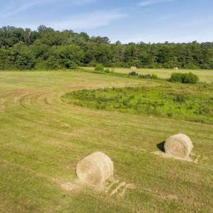 Photo #29 of 76.99 acres COLES ROLLING RD, SCOTTSVILLE, VA 77.0 acres