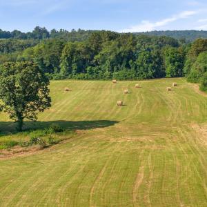 Photo #12 of 76.99 acres COLES ROLLING RD, SCOTTSVILLE, VA 77.0 acres