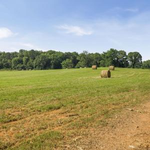 Photo #24 of 76.99 acres COLES ROLLING RD, SCOTTSVILLE, VA 77.0 acres