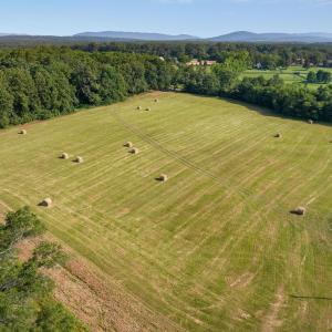 Photo #21 of 76.99 acres COLES ROLLING RD, SCOTTSVILLE, VA 77.0 acres