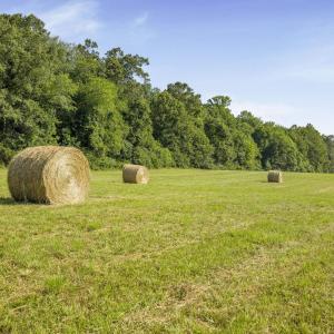 Photo #19 of 76.99 acres COLES ROLLING RD, SCOTTSVILLE, VA 77.0 acres