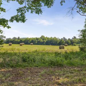 Photo #15 of 76.99 acres COLES ROLLING RD, SCOTTSVILLE, VA 77.0 acres