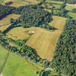 Photo #7 of 76.99 acres COLES ROLLING RD, SCOTTSVILLE, VA 77.0 acres