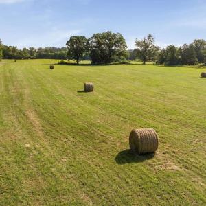 Photo #1 of 76.99 acres COLES ROLLING RD, SCOTTSVILLE, VA 77.0 acres