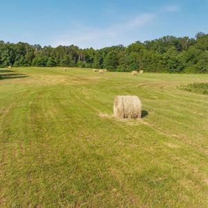 Photo #28 of 76.99 acres COLES ROLLING RD, SCOTTSVILLE, VA 77.0 acres