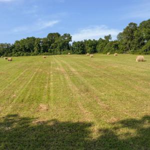 Photo #27 of 76.99 acres COLES ROLLING RD, SCOTTSVILLE, VA 77.0 acres