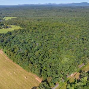 Photo #25 of 76.99 acres COLES ROLLING RD, SCOTTSVILLE, VA 77.0 acres