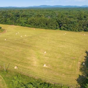 Photo #23 of 76.99 acres COLES ROLLING RD, SCOTTSVILLE, VA 77.0 acres