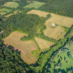 Photo #8 of 76.99 acres COLES ROLLING RD, SCOTTSVILLE, VA 77.0 acres