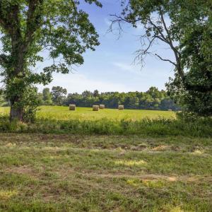 Photo #5 of 76.99 acres COLES ROLLING RD, SCOTTSVILLE, VA 77.0 acres